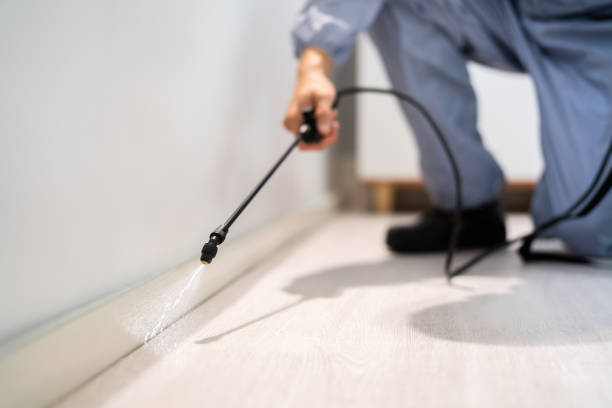 Licensed Exterminator service in Port Morris, NJ - Show Me Pest Control